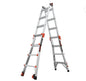 Little Giant Ladders