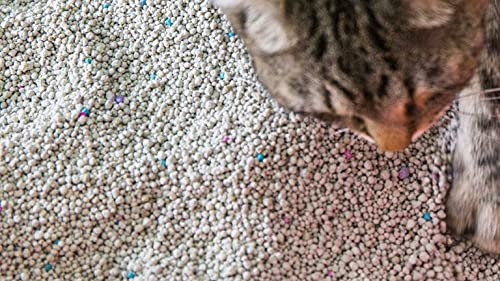 Scoop Away Complete Performance, Scented Cat Litter, 42 Pounds