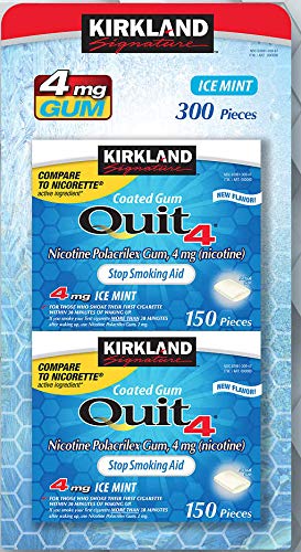 Kirkland Signature Quit Ice Mint Gum 4 mg, 300 Pieces