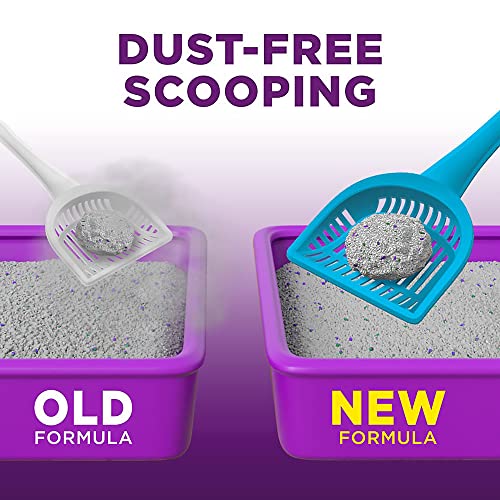 Scoop Away Complete Performance, Scented Cat Litter, 42 Pounds